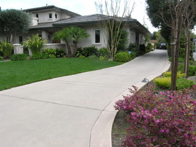 Driveway Driveway